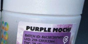 Colors Extracts Flower Purple Mochi